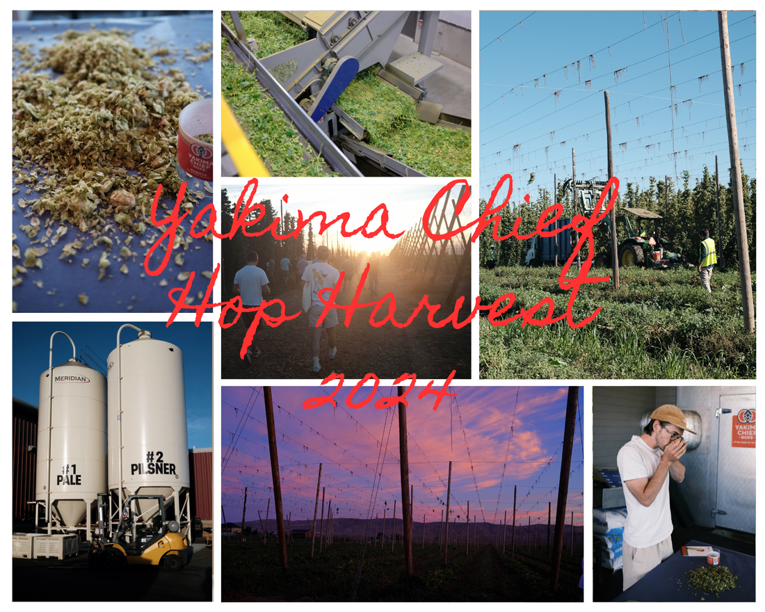 BEAK - FIELDS SERIES BEER LAUNCH 🌾