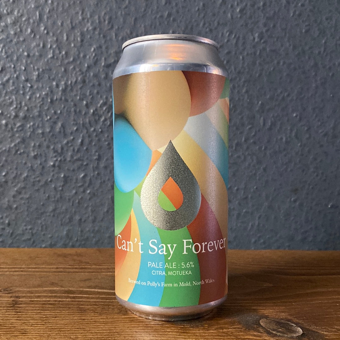 POLLY'S CAN'T SAY FOREVER PALE 5.6%